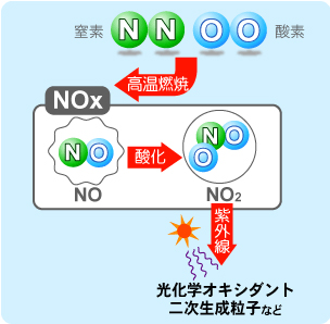 窒素酸化物（NOx）