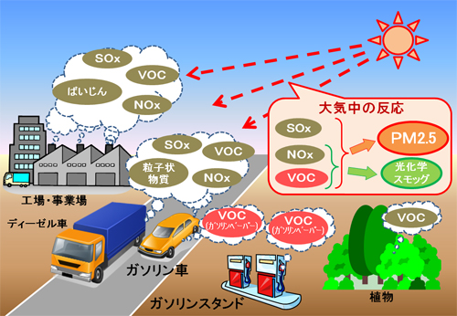 ＰＭ2.5 等の発生源と生成のしくみ